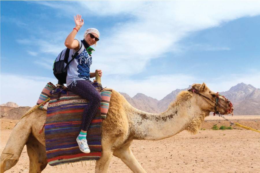dubai camel safari