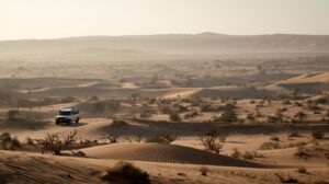 winter season desert safari