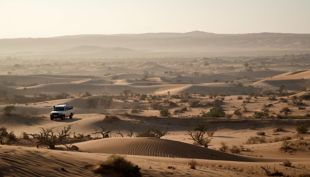 winter season desert safari